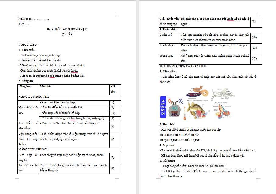 Giáo án PowerPoint Sinh học 11 Bài 9