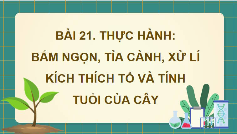 Giáo án PowerPoint Sinh học 11 Bài 21