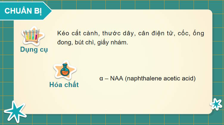 Giáo án PowerPoint Sinh học 11 Bài 21