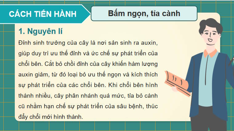 Giáo án PowerPoint Sinh học 11 Bài 21