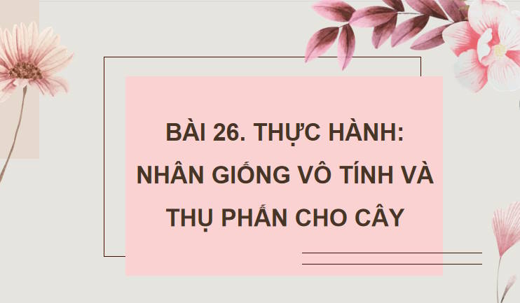 Giáo án PowerPoint Sinh học 11 Bài 26