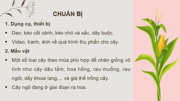 Giáo án PowerPoint Sinh học 11 Bài 26