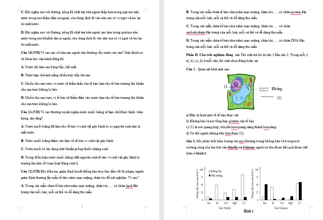 Đề kiểm tra cuối kì 1 Sinh học 10