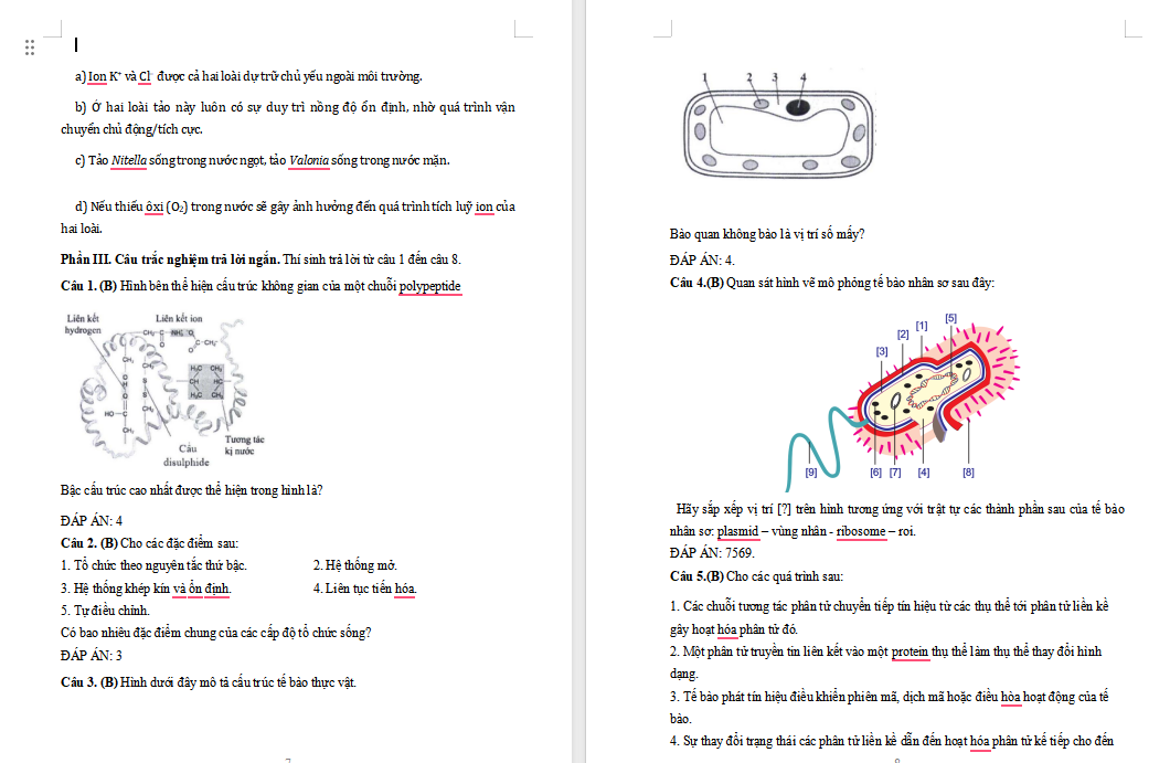 Đề kiểm tra cuối kì 1 Sinh học 10