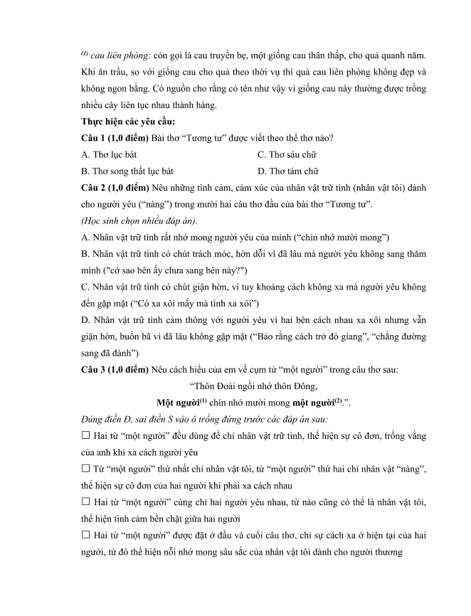 bo de thi hoc ki 1 mon ngu van 6 ket noi tri thuc so 2 h1*709301