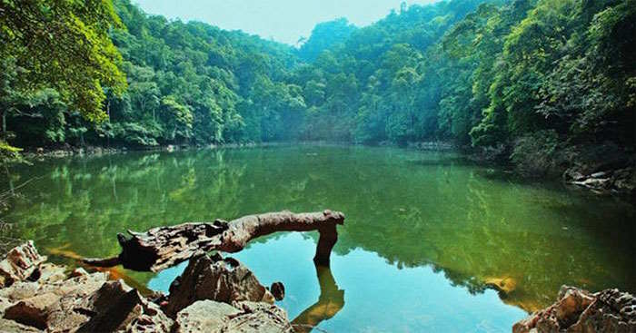 Chung tay bảo tồn cảnh quan thiên nhiên