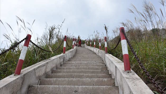 Bậc thang trưởng thành