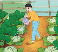 Giáo án Sinh hoạt lớp 5 tuần 17: Gia đình đầm ấm