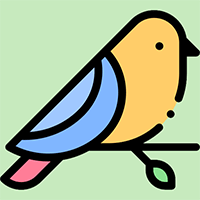 Bài tập trắc nghiệm Toán 6 Chân trời sáng tạo cả năm (Cấu trúc mới)