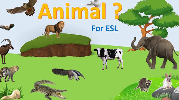 PowerPoint Trò chơi Đoán hình bằng bóng