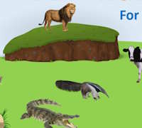 PowerPoint Trắc nghiệm Đoán hình bằng bóng