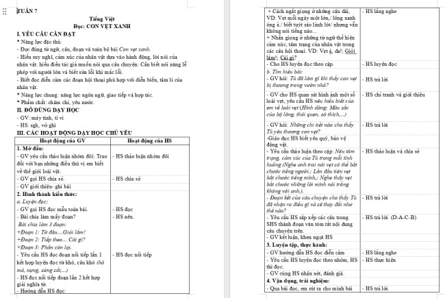 Giáo án Tiếng Việt 4 Bài 13: Con vẹt xanh
