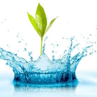 Giáo án PowerPoint Khoa học 4 Bài 1: Tính chất của nước và nước với cuộc sống