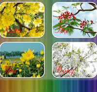 PowerPoint Trò chơi Thử tài hiểu biết