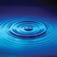 Bài tập về Sóng ngang - sóng dọc (Cấu trúc mới)  