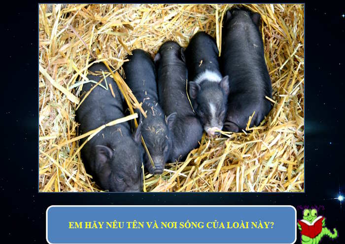 PowerPoint Trò chơi Em hiểu loài vật