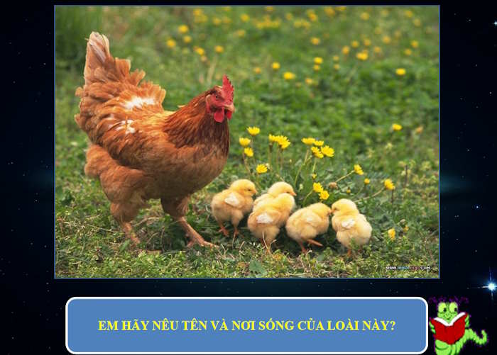 Trò chơi Em hiểu loài vật