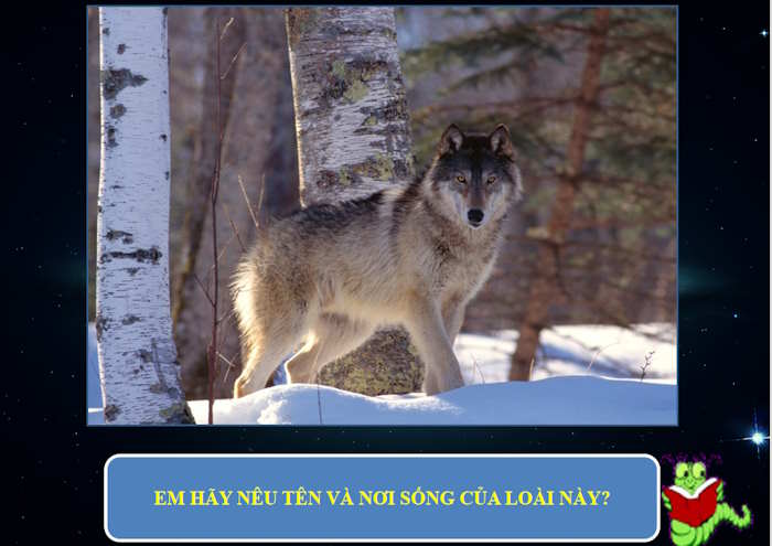 PowerPoint Trò chơi Em hiểu loài vật