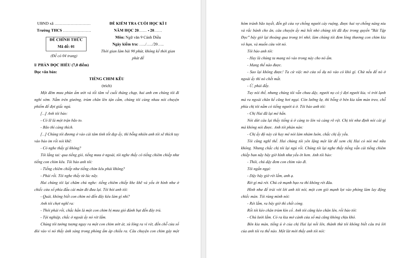 bo de thi hoc ki 1 mon ngu van 9 canh dieu so 2 h1 1*715030