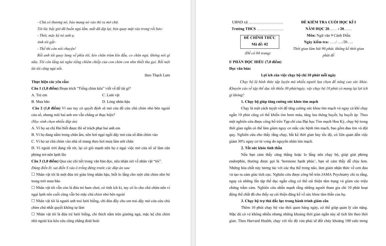 bo de thi hoc ki 1 mon ngu van 9 canh dieu so 2 h2 1*715031