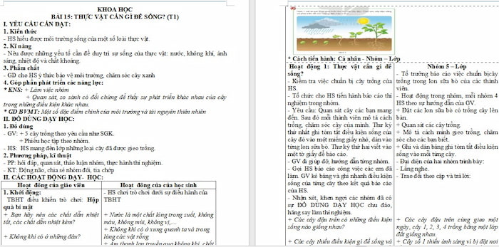 Giáo án Khoa học 4: Thực vật cần gì để sống?