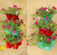 Giáo án Sinh hoạt lớp 2 tuần 29: Chung tay bảo vệ môi trường