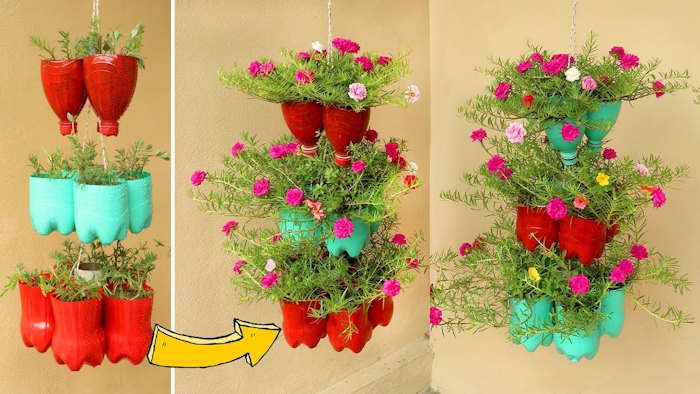 Làm chậu trồng cây từ đồ vật đã qua sử dụng