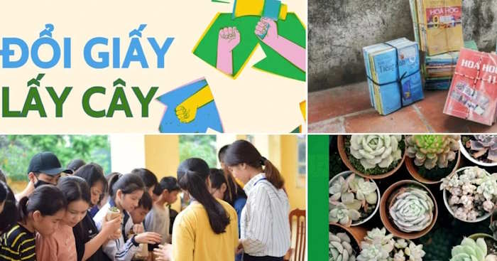 Tham gia hoạt động “Đổi giấy lấy cây”