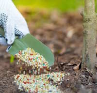 Giáo án Sinh hoạt lớp 2 tuần 10: Em yêu lao động