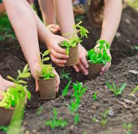 Giáo án Sinh hoạt lớp 2 tuần 9: Em yêu lao động