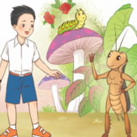 Giáo án PowerPoint Tiếng Việt 3 Bài 2: Tả một đồ dùng cá nhân