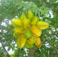 Giáo án Sinh hoạt lớp 2 tuần 7: Em là ai? sách Cánh diều