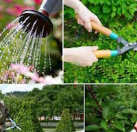 Giáo án Sinh hoạt lớp 2 tuần 10: Em yêu lao động sách Cánh diều