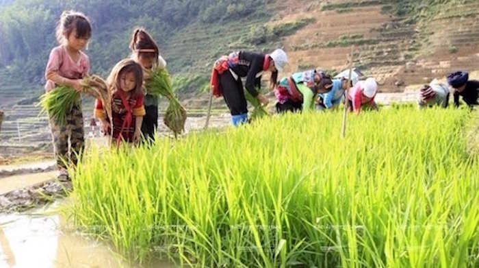 Điều em học được từ chủ đề Em yêu lao động