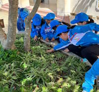 Giáo án Sinh hoạt lớp 2 tuần 9: Em yêu lao động sách Cánh diều