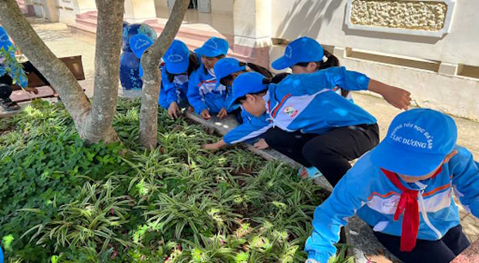 Kế hoạch chăm sóc cây xanh