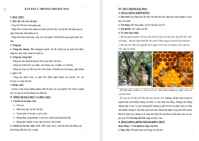 Giáo án Văn 6 Bài 5: Thương nhớ bầy ong