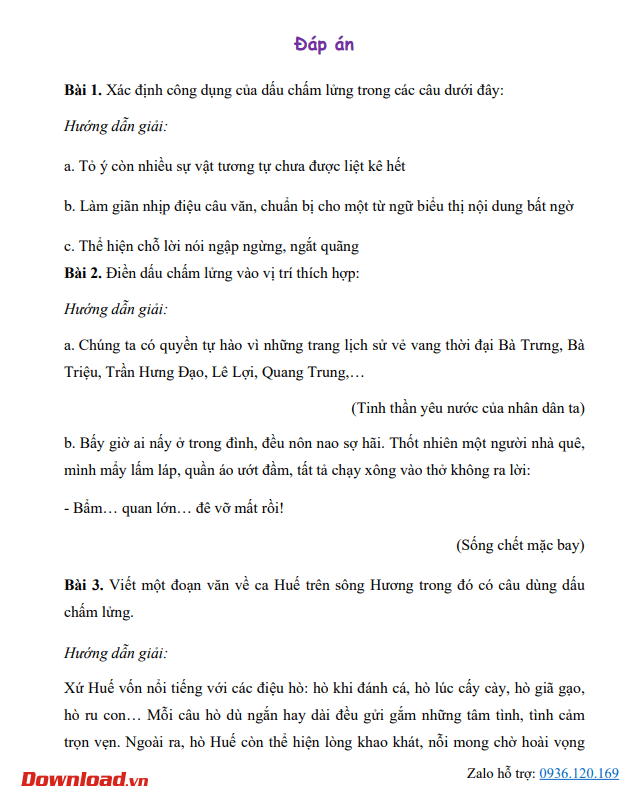 dau cham lung 2*718440