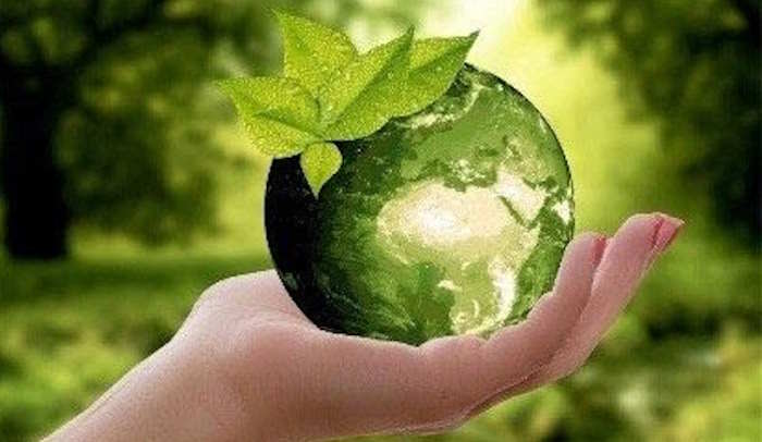 Môi trường xanh cuộc sống xanh