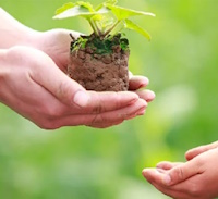 Giáo án Sinh hoạt lớp 3 tuần 16: Tự hào truyền thống quê em