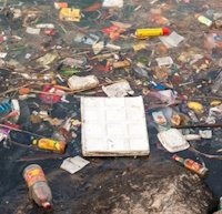 Giáo án Sinh hoạt lớp 3 tuần 28: Cuộc sống xanh