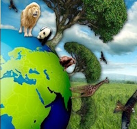 Giáo án Sinh hoạt lớp 3 tuần 29: Cuộc sống xanh