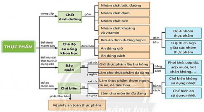 Đề cương học kì 1 môn Công nghệ 6 Chân trời sáng tạo