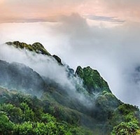 Giáo án Sinh hoạt lớp 3 tuần 28: Làm bạn với thiên nhiên