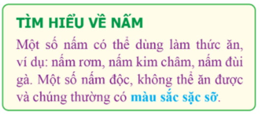 Đề thi học kì 1 môn Tin học 5 Cánh diều