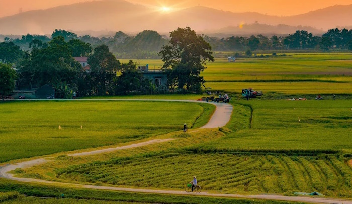 Giáo án Sinh hoạt lớp 3