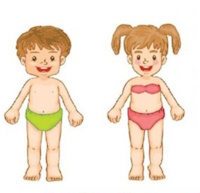 Giáo án Sinh hoạt lớp 4 tuần 21: Phòng tránh bị xâm hại