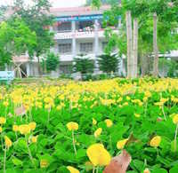 Giáo án Sinh hoạt lớp 4 tuần 2: Giữ gìn trường em xanh, sạch, đẹp