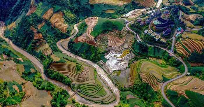 Giáo án Sinh hoạt lớp 3