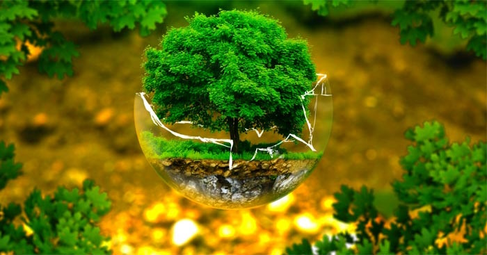 Giáo án Sinh hoạt lớp 3